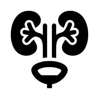 o6o_service_urology_black o6o_service_urology_black
